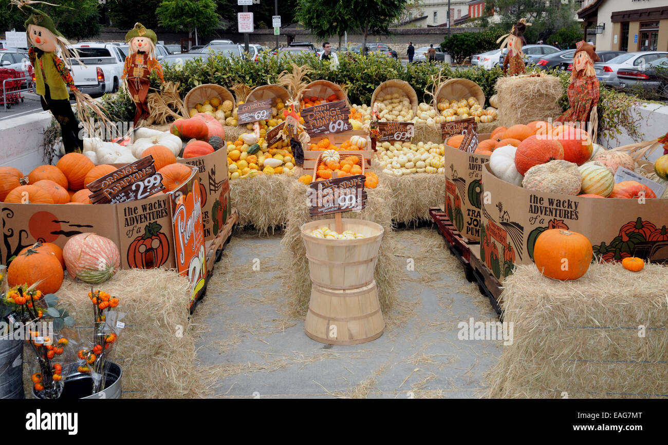 Pumpkins ready for Halloween on display at a Monterey supermarket Stock