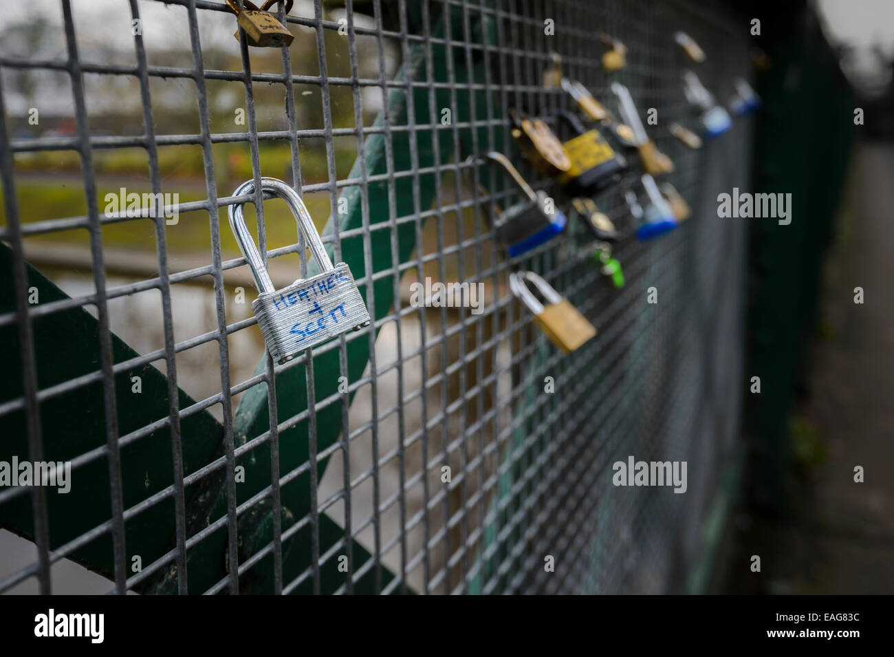 Fence With Padlocks Hi res Stock Photography And Images Alamy