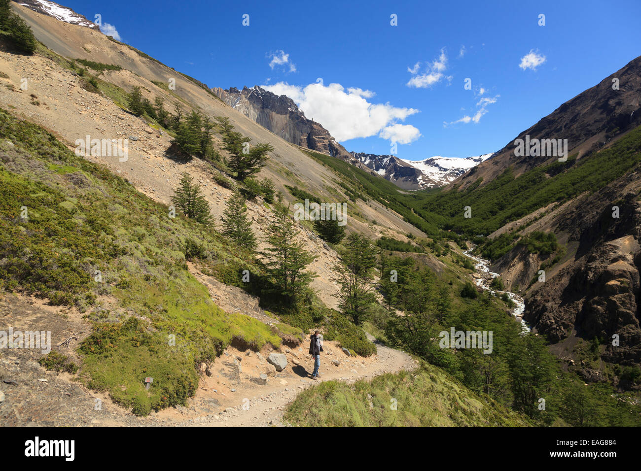 Hiker in Torres Del Paine National Park, Chile Stock Photo