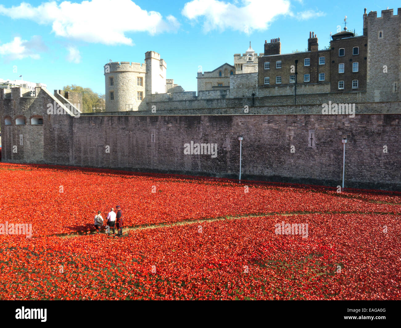 2014 Ceramic poppy display at the Tower of London symbolising the World War 1 Centenary 'Blood Swept Lands and Seas of Red’ Stock Photo