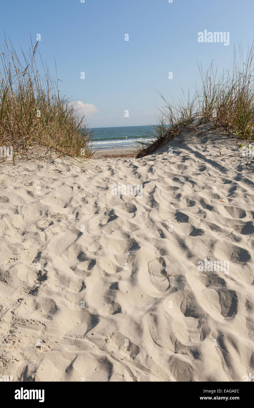 Beach path through the sand on Isle of Palms, South Carolina Stock