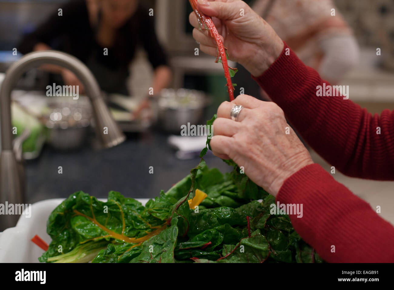 Hands cleaning swiss chard, separating stems from leaves Stock Photo