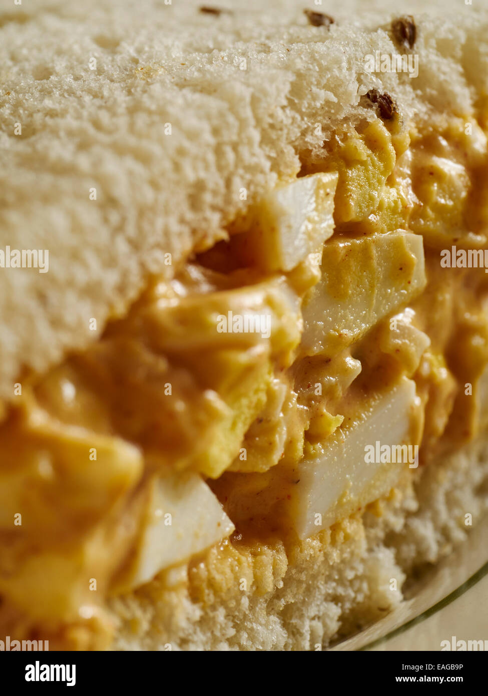 Egg Salad sandwich on rye bread, a New York City classic Stock Photo