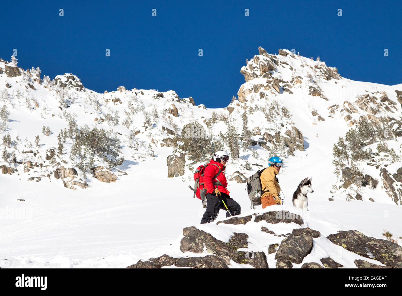 Two male backcountry skiers and a dog in the Beehive Basin near Big Sky, Montana. Stock Photo
