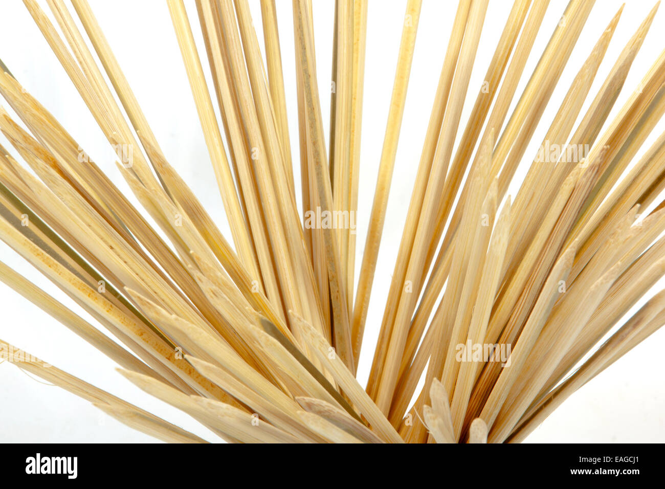 close up of wooden pegs, pointed wood pegs, wooden sticks, sharp sticks,  wooden pointed stick, wooden pointed sticks Stock Photo - Alamy