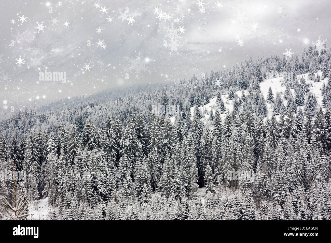 Vintage Christmas background with snowy fir trees Stock Photo - Alamy