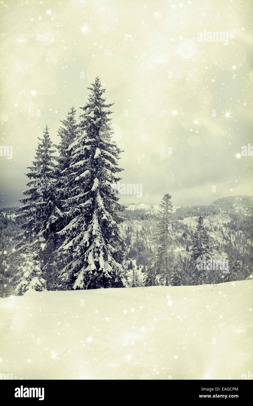 Vintage Christmas background with snowy fir trees Stock Photo - Alamy