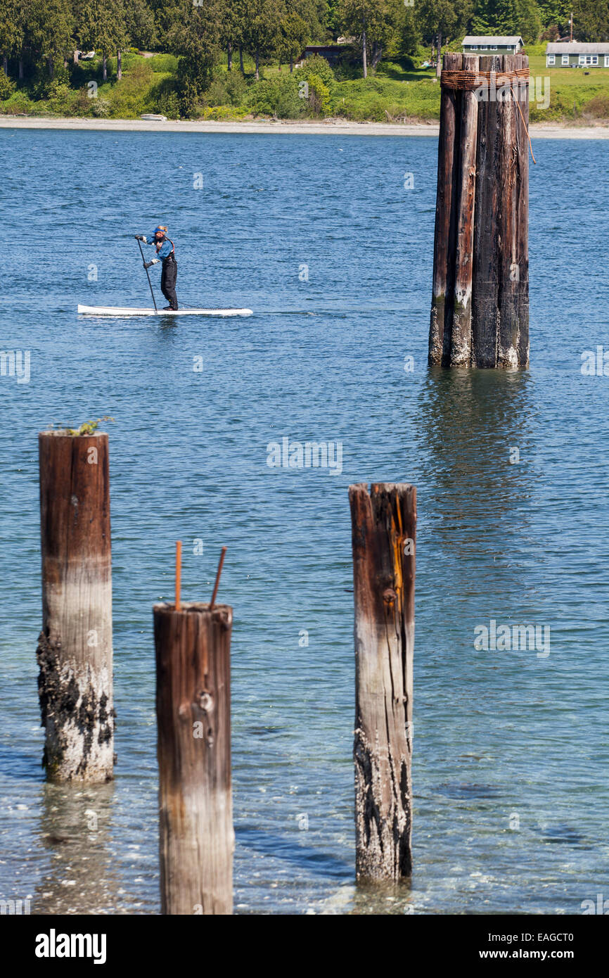 A man paddling a stand up paddle board in Port Gamble, Washington. Stock Photo