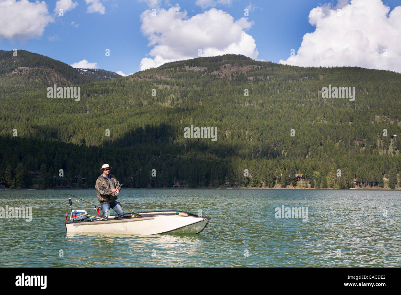 Lake whitefish hires stock photography and images Alamy