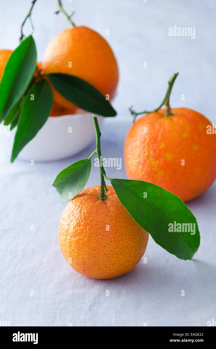 Multiple ripe tangerines over bluish cloth Stock Photo