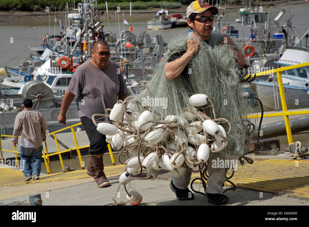 Set Net Fishermen Carry Nets At The Boat Harbor, Dillingham, Alaska