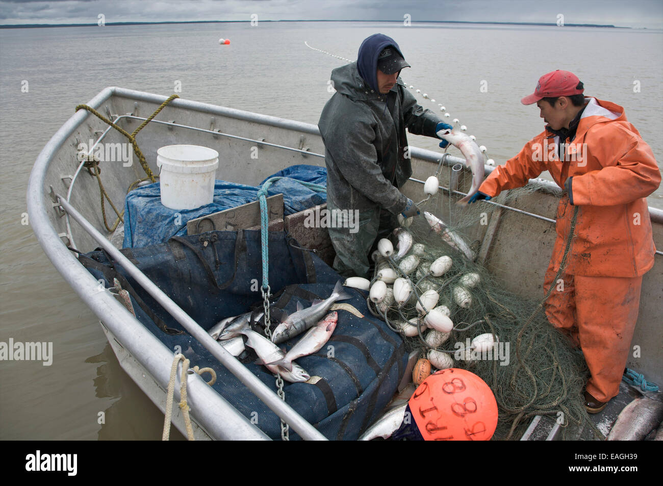 Commercial salmon set net fishing hires stock photography and images