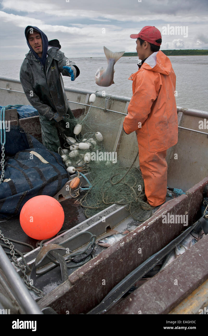 Commercial salmon set net fishing hires stock photography and images