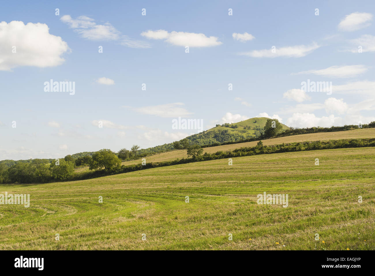 Typical Landscape of Auvergne, France, Auvergne Stock Photo