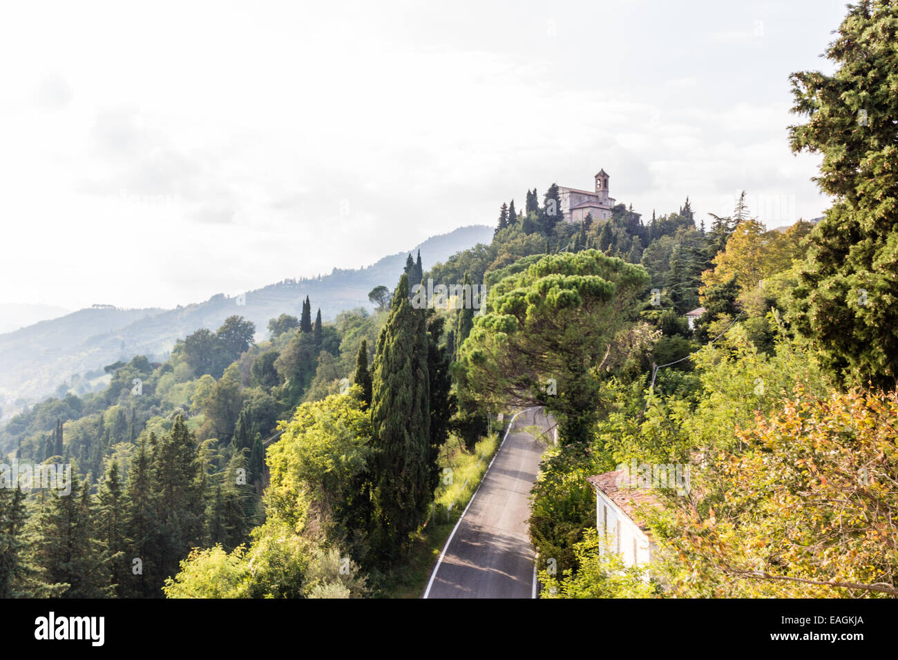 Sanctuary of the Blessed Virgin of Monticino surrounded by cypress ...