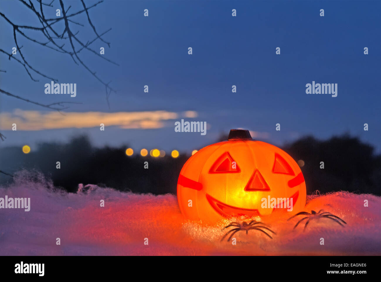 halloween pumpkin on a white spider web at sunset Stock Photo