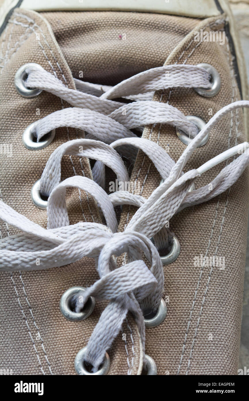 shoelace of canvas shoe Stock Photo Alamy