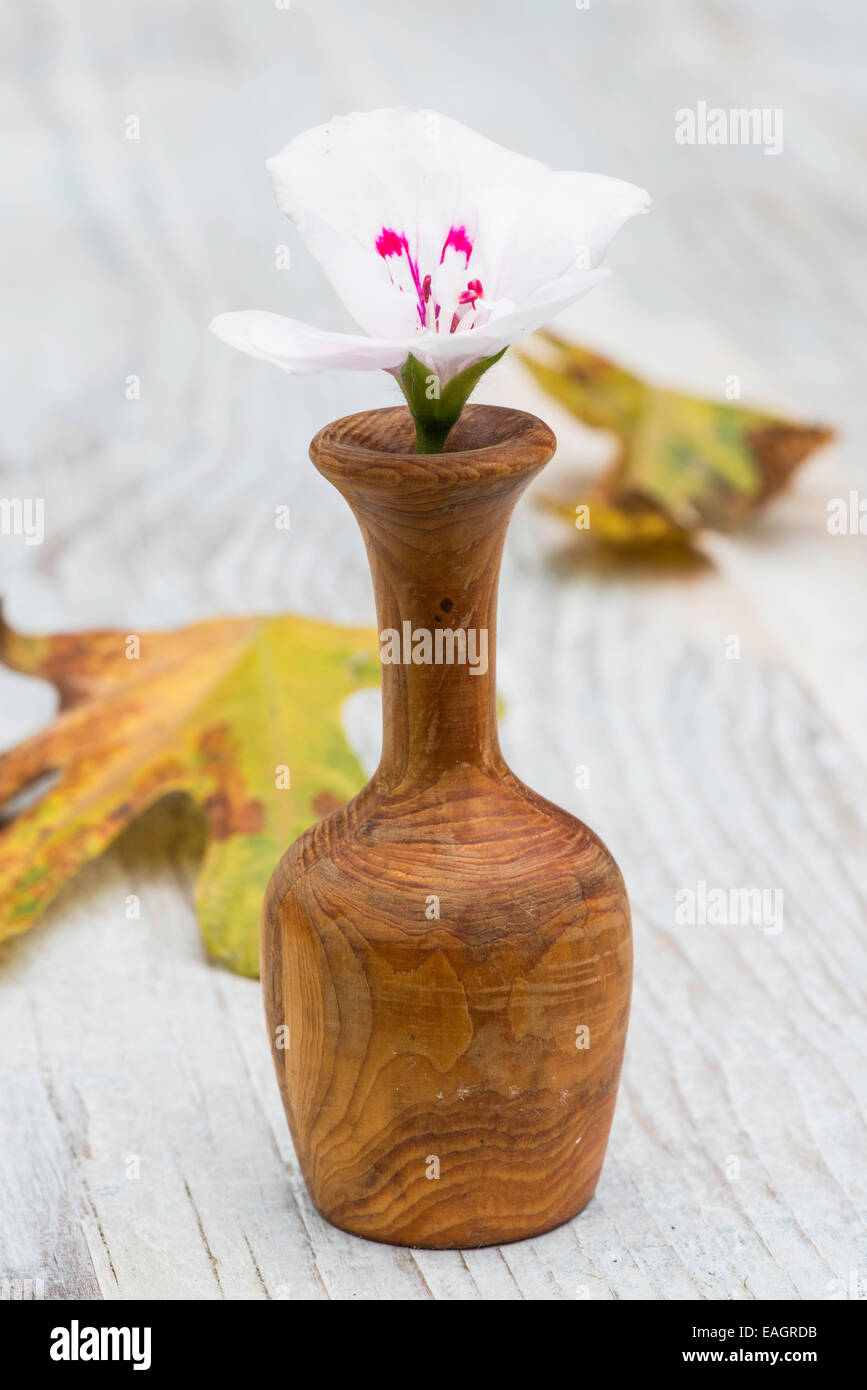Small wooden vase with white flower Stock Photo Alamy