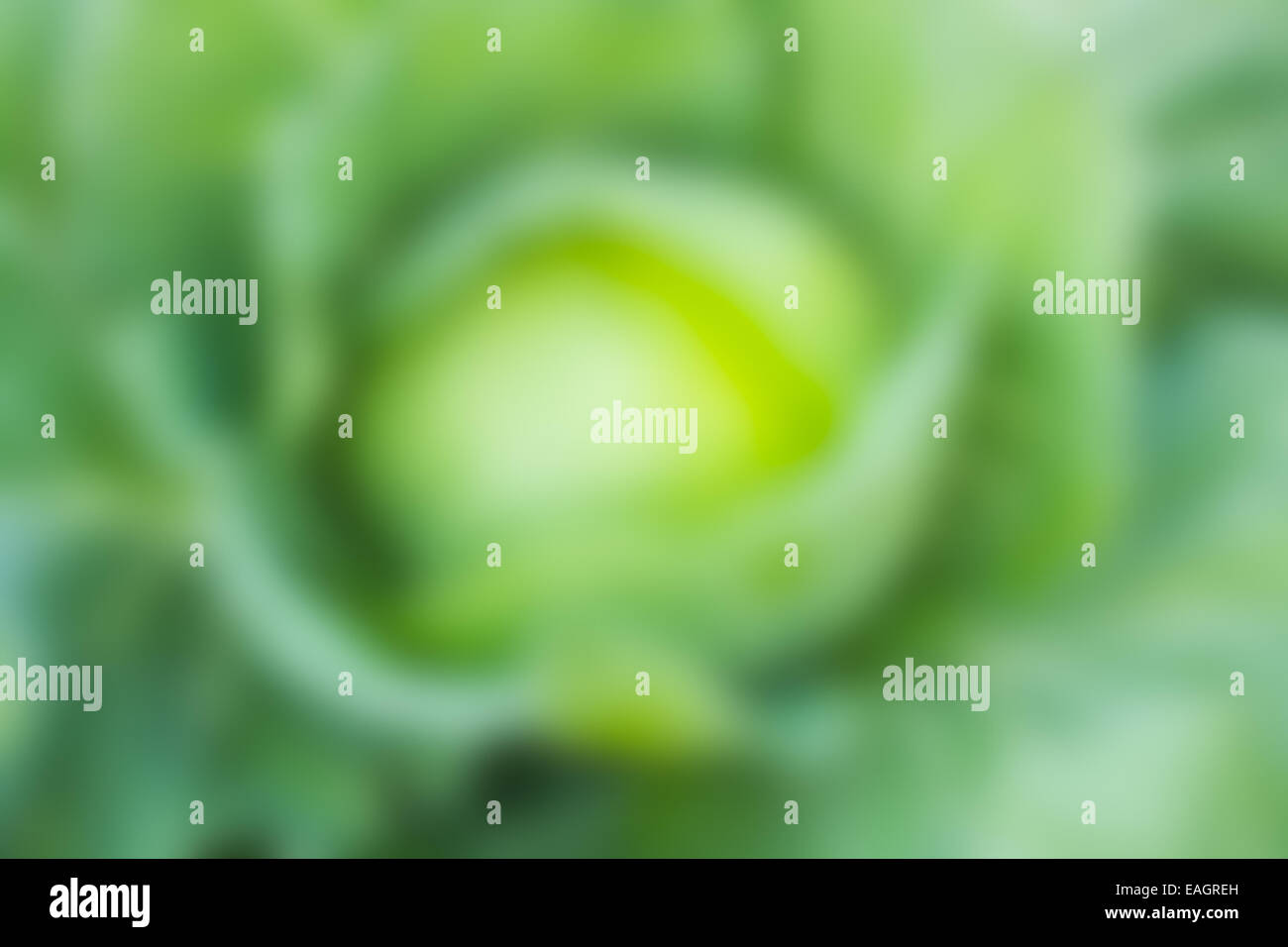 Abstract light background hi-res stock photography and images - Alamy