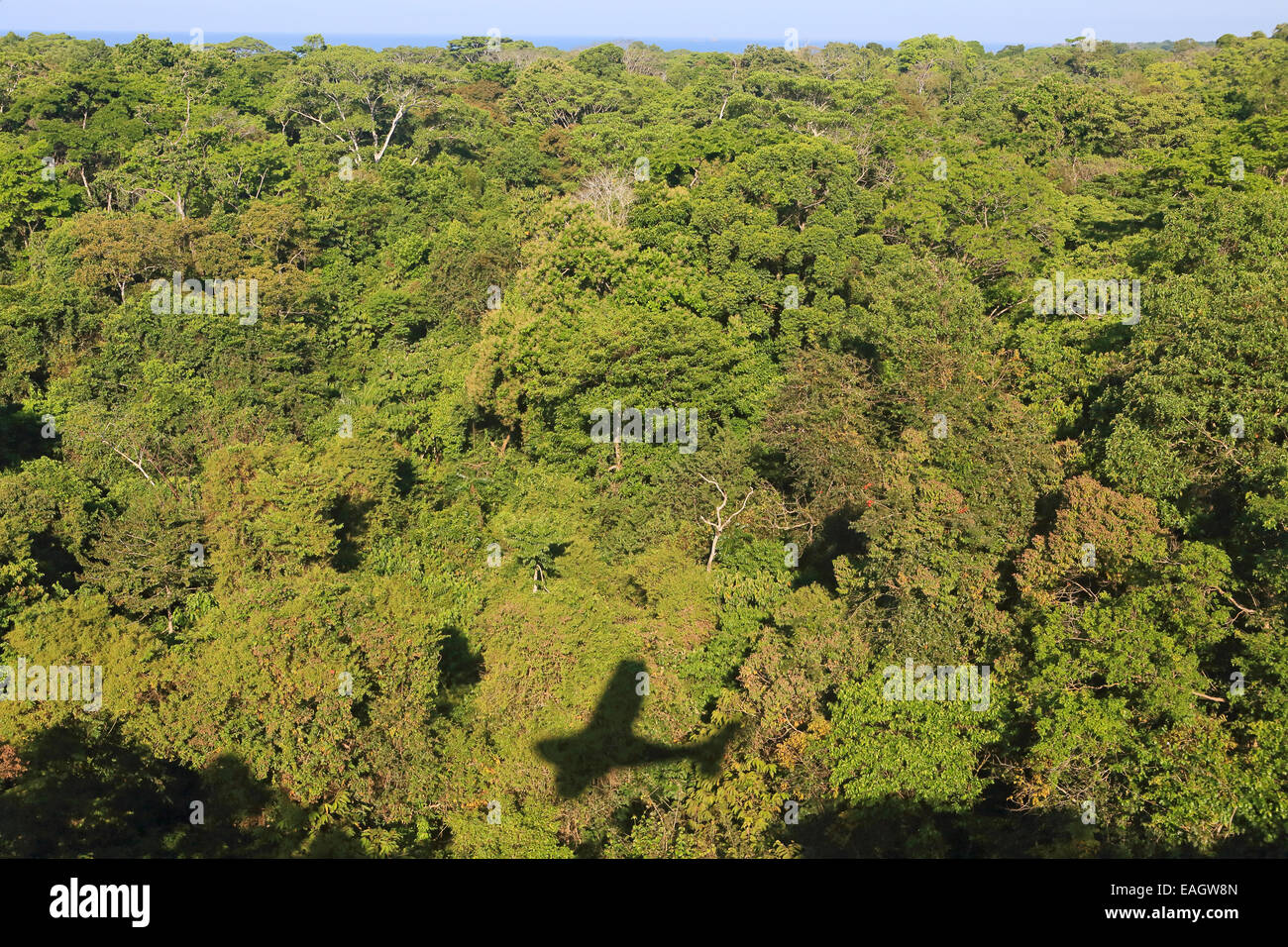 Aerial photo of rainforest and coast near Sirena Ranger Station. Corcovado National Park, Osa Peninsula, Costa Rica. February 20 Stock Photo
