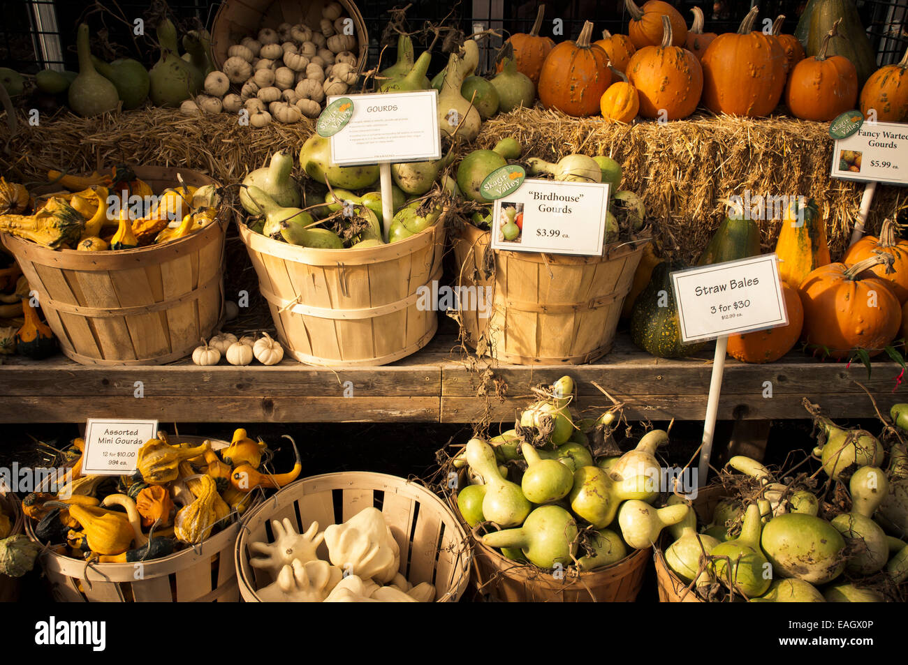 Harvest vegetables for sale Stock Photo