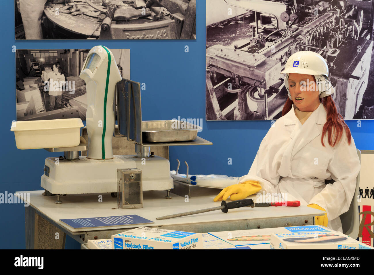 Fish processing exhibit, Maritime Museum, Reykjavik, Iceland, Europe Stock Photo Alamy