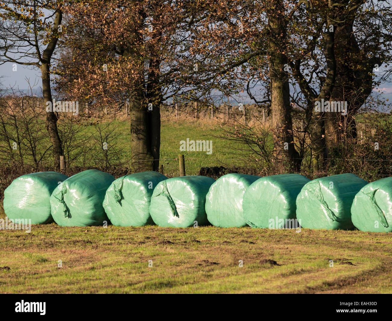 Plastic wrapped food uk hires stock photography and images Alamy