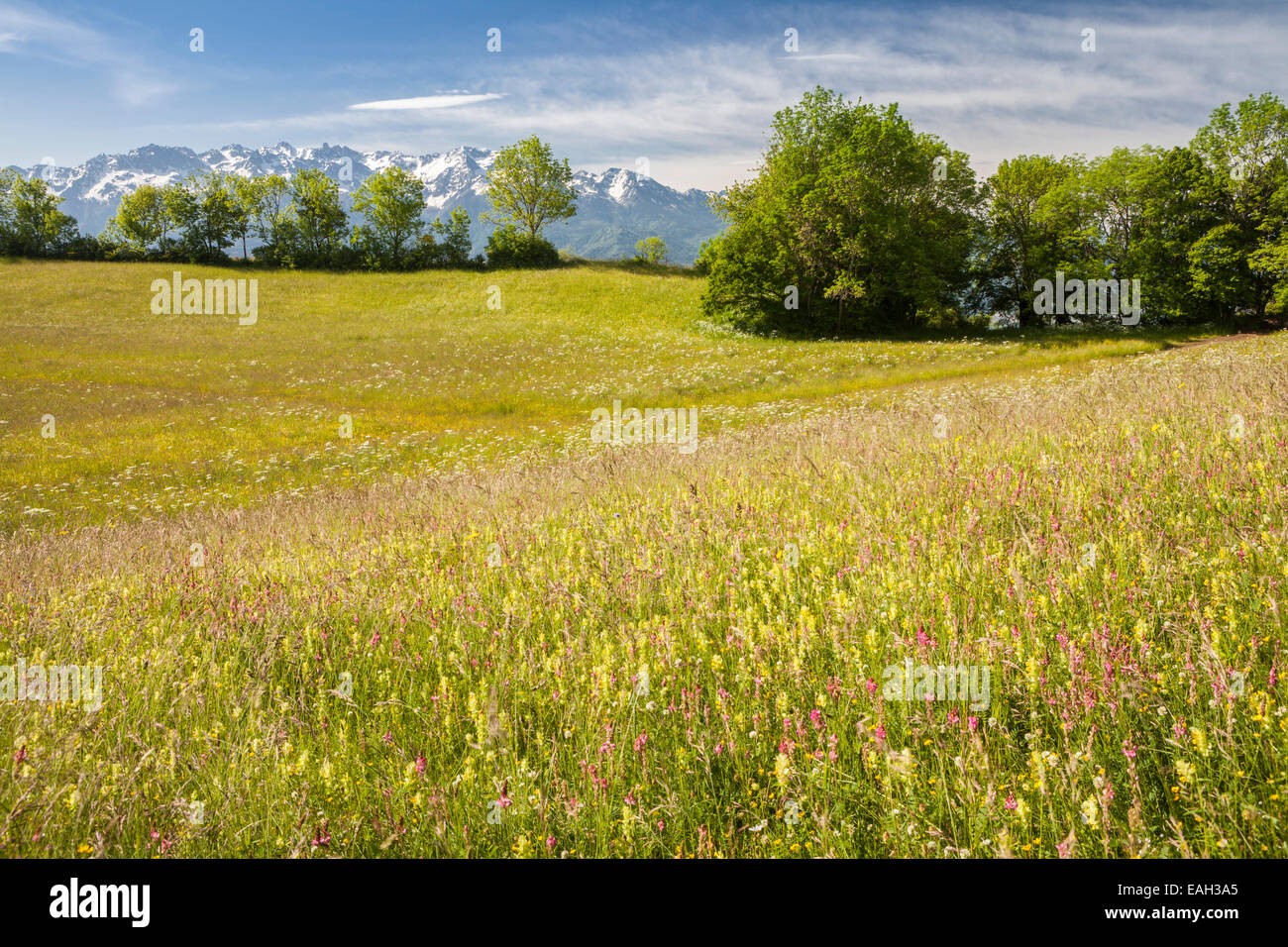 View of the Massif of Belledone from Saint Hilaire du Touvet, Natural park of Le Chartreuse, Isère, Rhône-Alpes, France Stock Photo