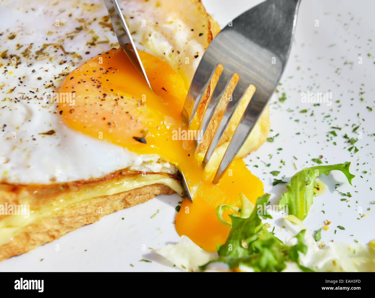 Eating belgian dish croque-madame with beautiful fried eggs, bread and ham, shallow DOF in natural light closeup image Stock Photo