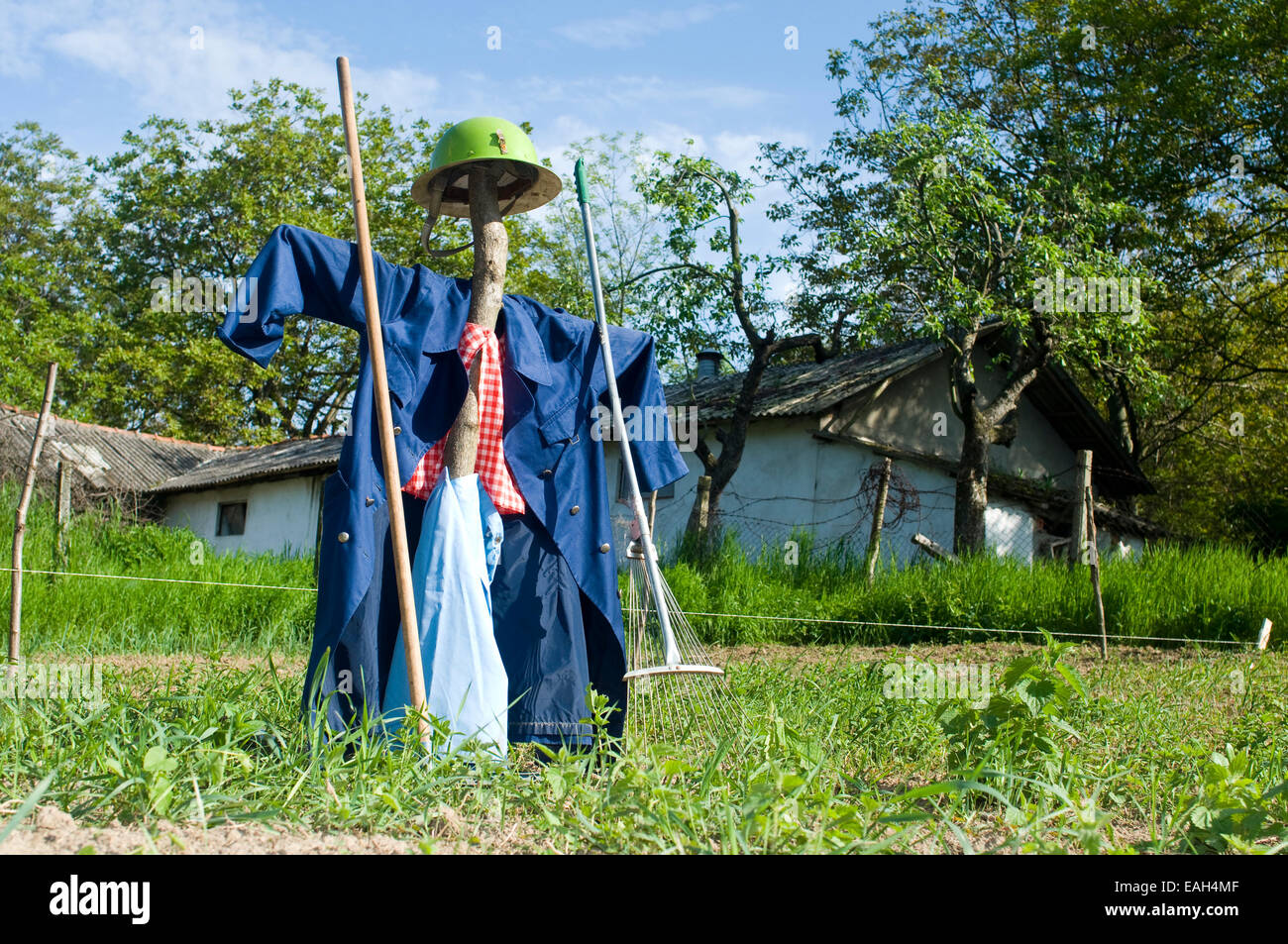 Scarecrow in field agriculture hi-res stock photography and images - Alamy