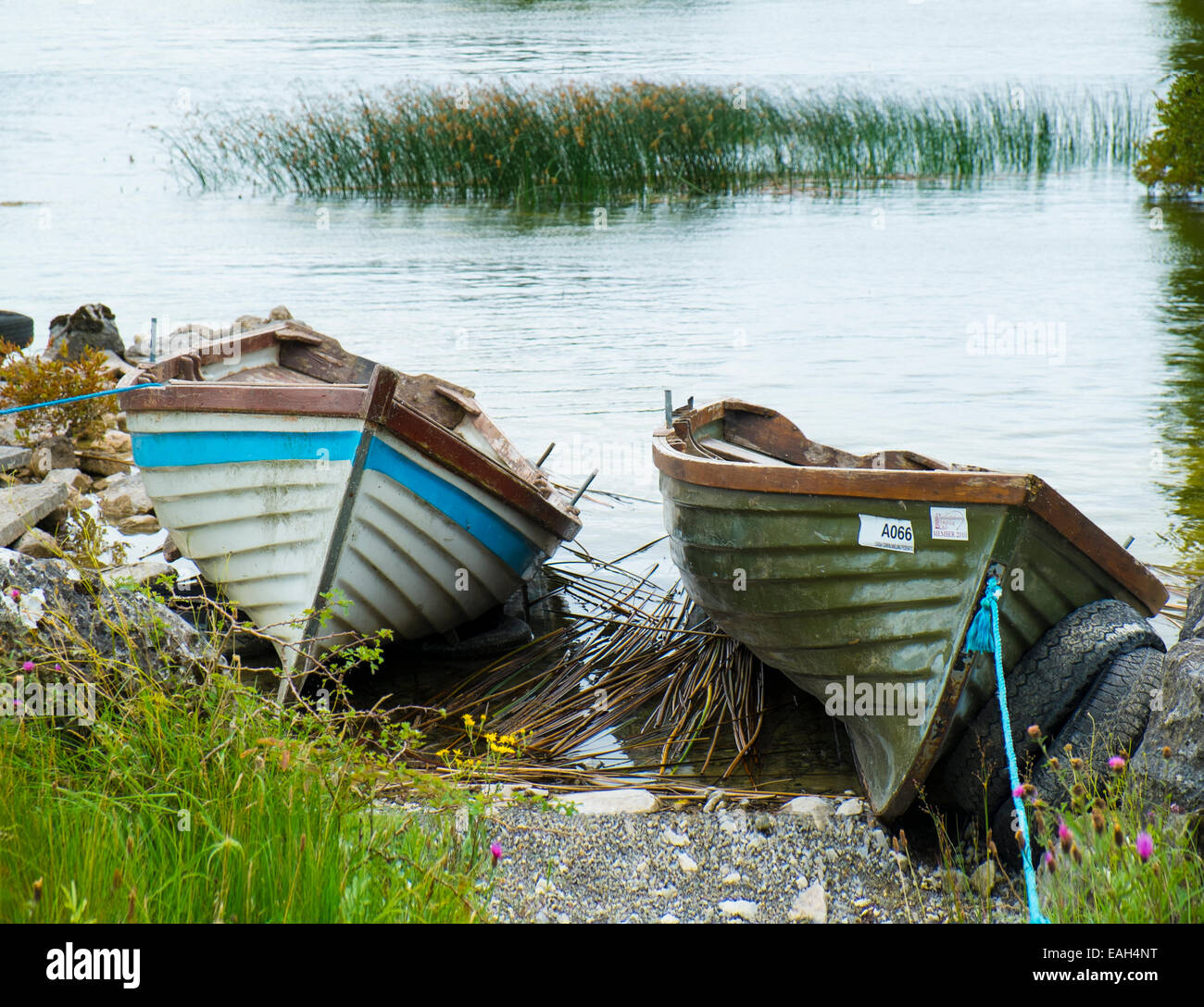 Lake angling boats drawn up on the lake shore at Lough Corrib, County Galway, Ireland Stock Photo