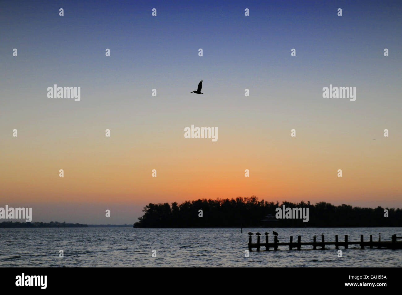 Bradenton, Florida, USA.15 November 2014.Scenes from South Coquina Boat Ramp during sunrise on a clear but much cooler day in the sunshine state. Stock Photo