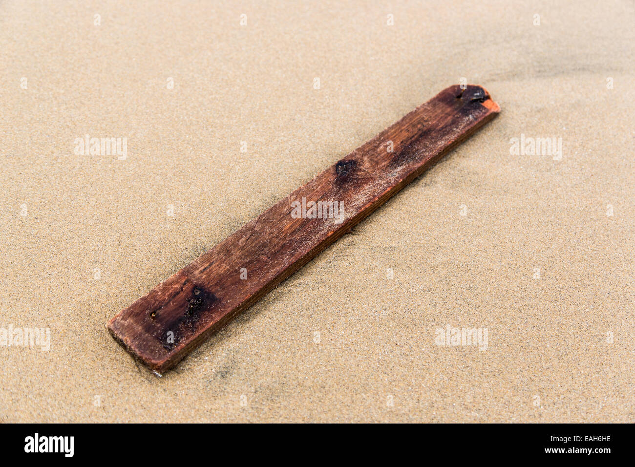 Driftwood on beach at La Latte Pointe de la Pie Brittany France Stock Photo