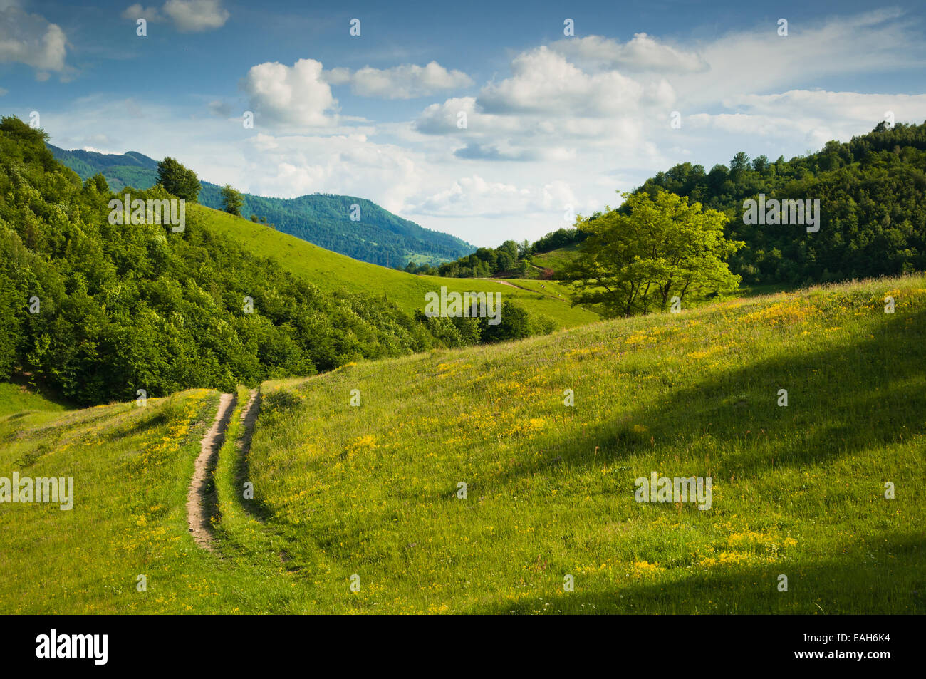 Photo of a rural, medium altitude landscape, taken during a sunny spring day. Stock Photo