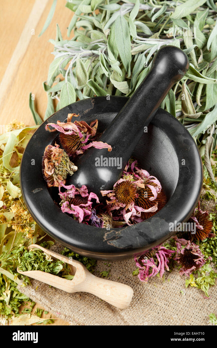 Medicinal herb savory herbs hires stock photography and images Alamy