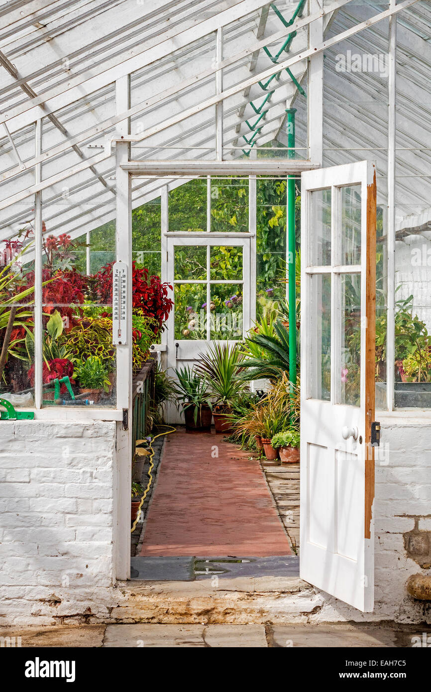 Inside A Greenhouse At St. Fagans Cardif Glamorgan UK Stock Photo