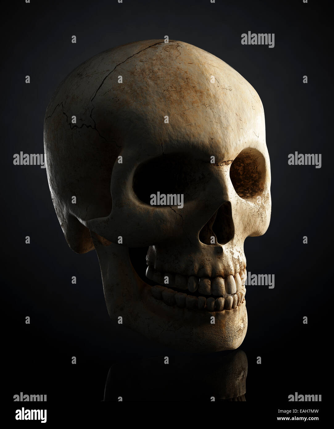 Human skull still life on black background - 3D artwork Stock Photo