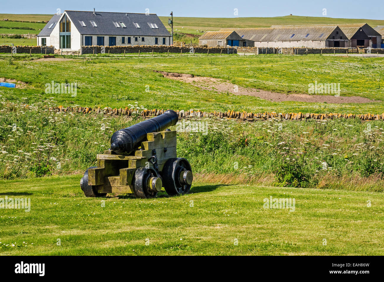 Cannon On The Lawns Orkney Islands UK Stock Photo