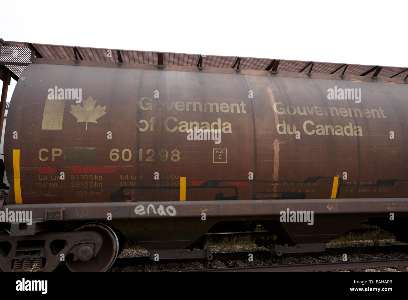 government of canada freight grain trucks on canadian pacific railway Saskatchewan Canada Stock Photo