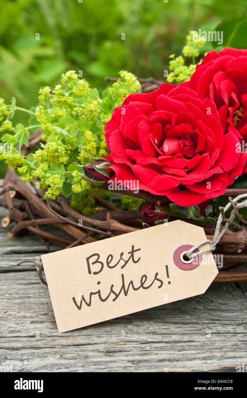card with red roses and lettering Best wishes Stock Photo - Alamy