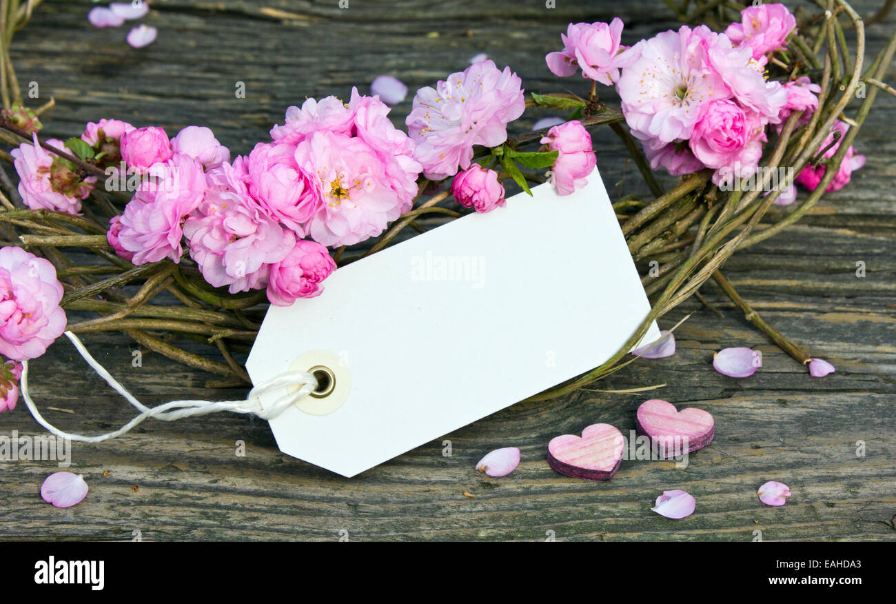Pink blossoms with label Stock Photo