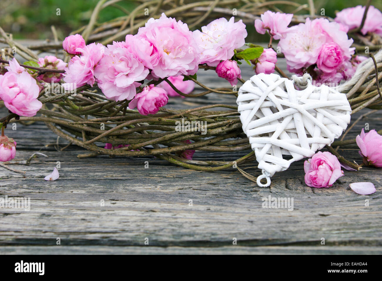 Pink blossoms with white heart Stock Photo