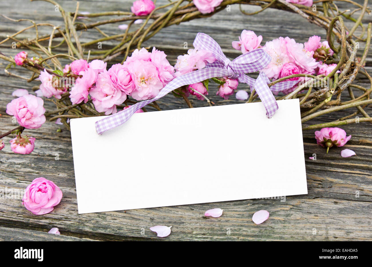 Pink blossoms with white card Stock Photo
