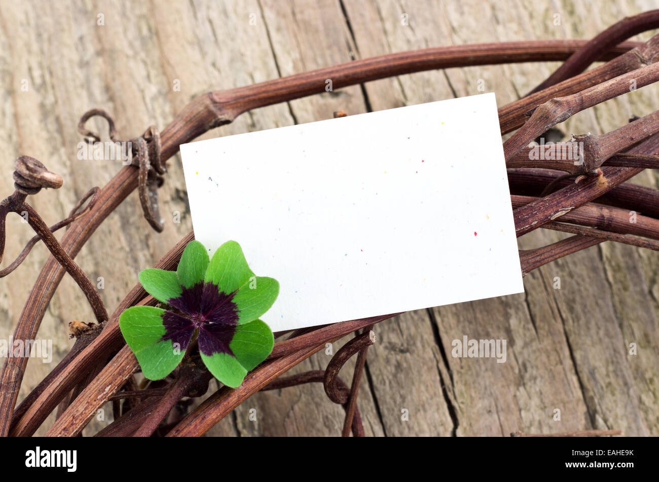 Leafed clover and card on wooden board Stock Photo