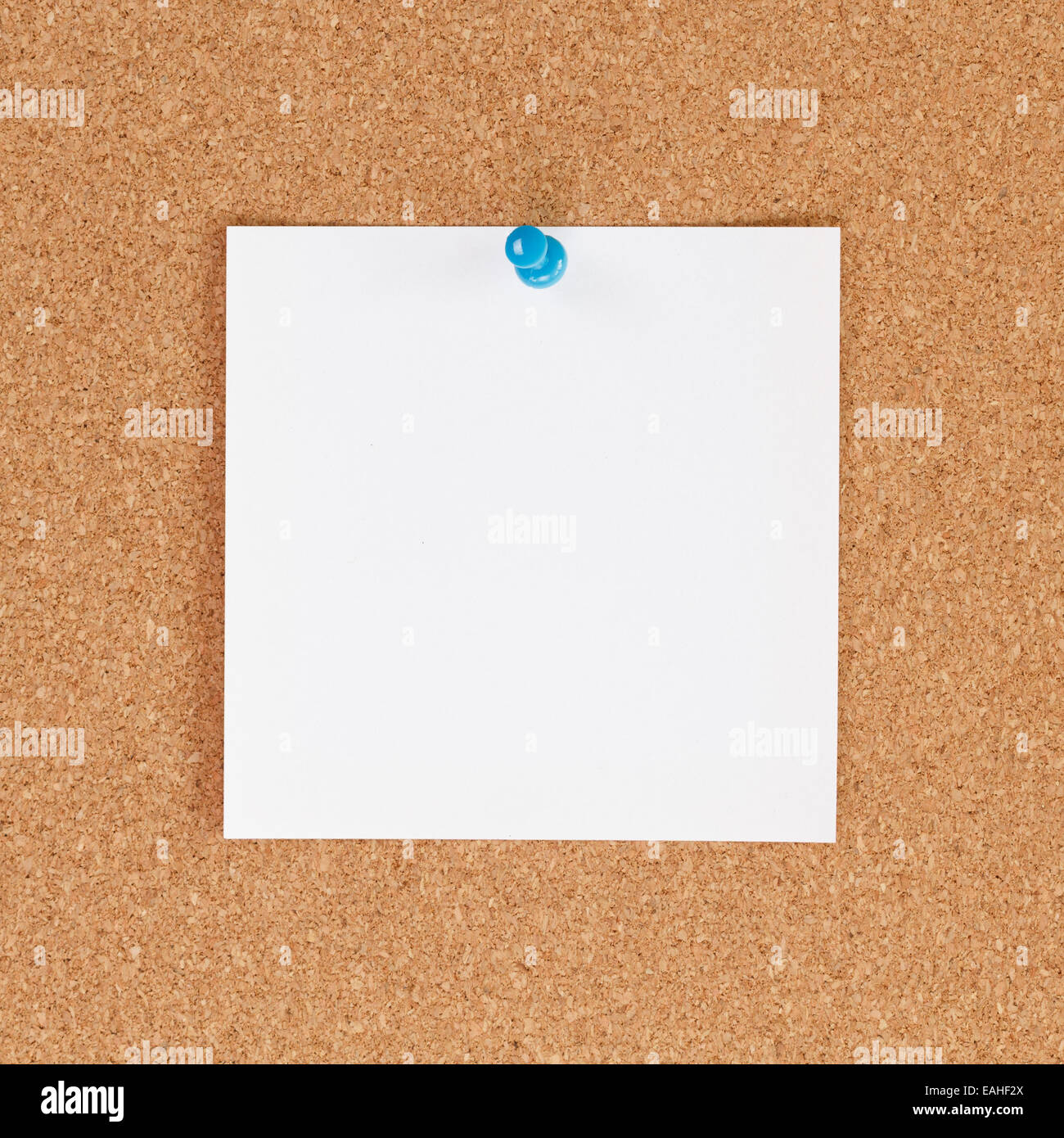 Note paper on cork board Stock Photo Alamy