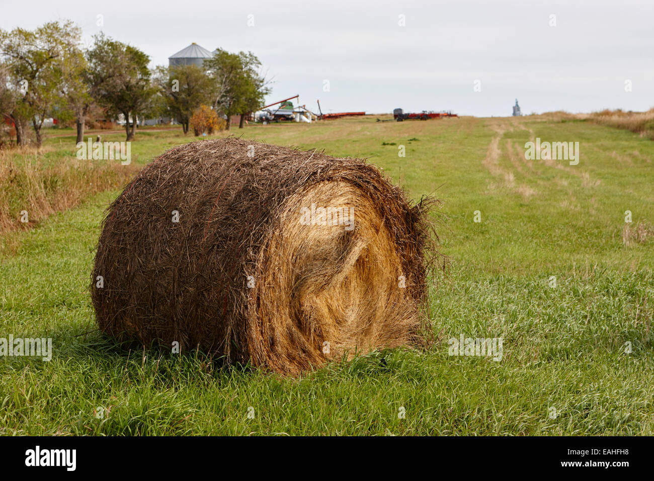 rolled hay bale in a grass field for winter animal feed Saskatchewan Canada  Stock Photo - Alamy