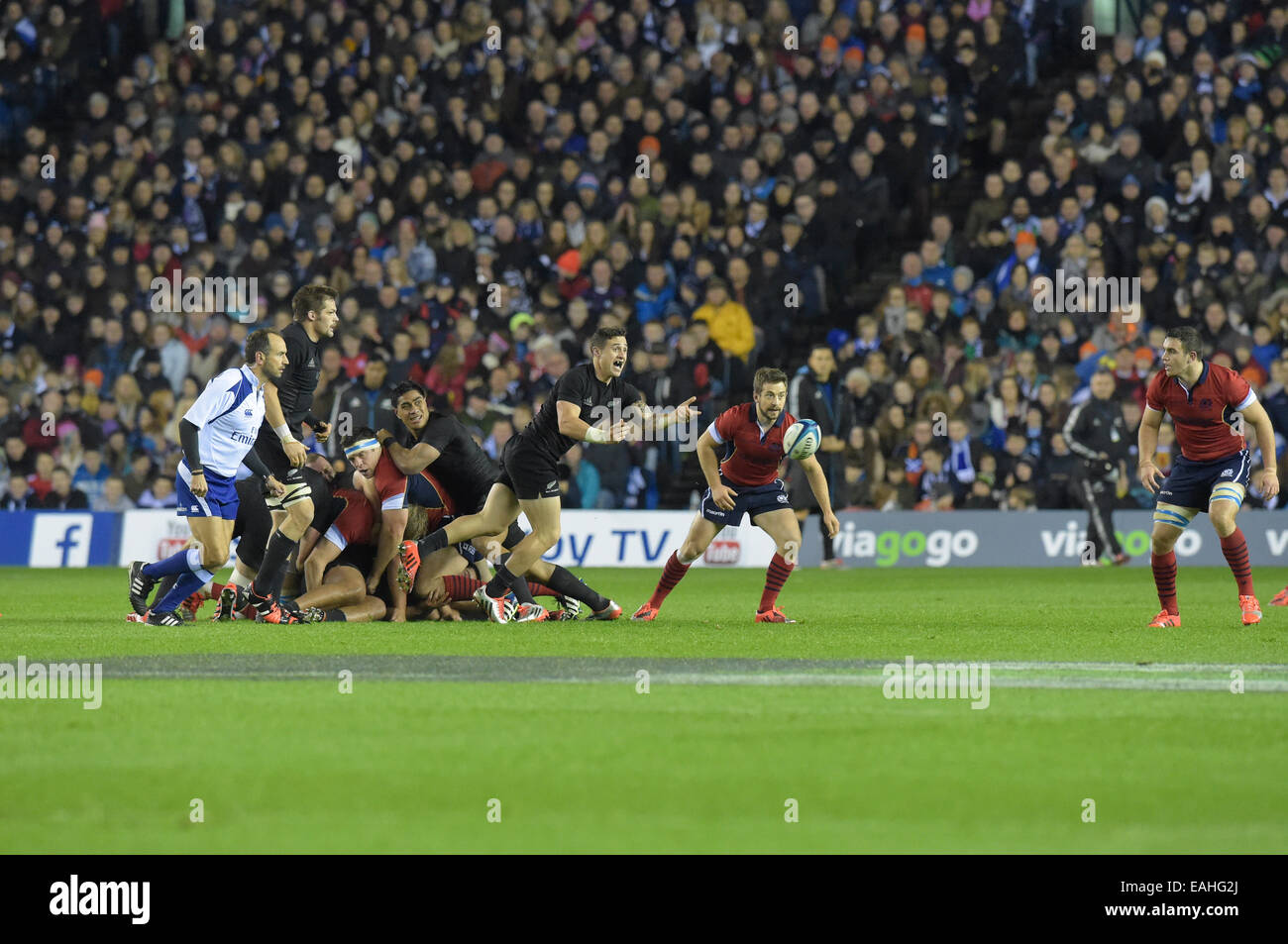 Edfinburgh, UK. 15 Nov 2014. ViaGoGo Autumn Test Scotland vs All