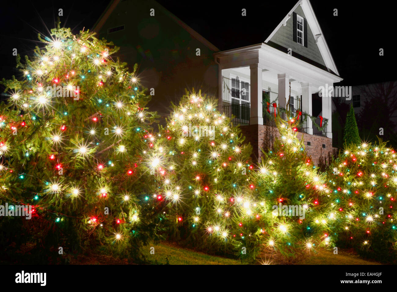 Outdoor Christmas Trees have been decorated with red, green and white  lights and shot against a Victorian style home Stock Photo - Alamy