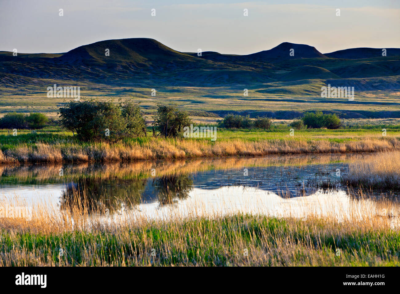 Landscape of the Frenchman River Valley in the West Block of Grasslands National Park, Saskatchewan, Canada. Stock Photo