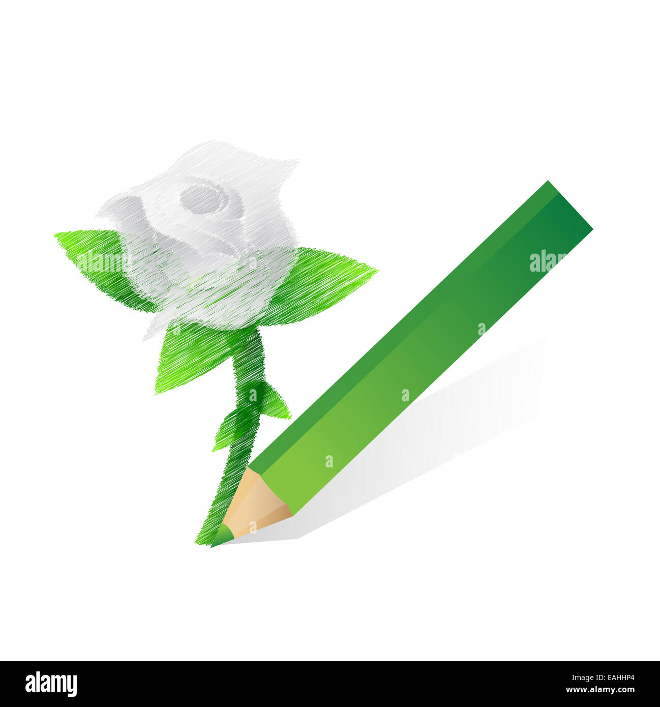 Drawing a house illustration design Stock Photo Alamy